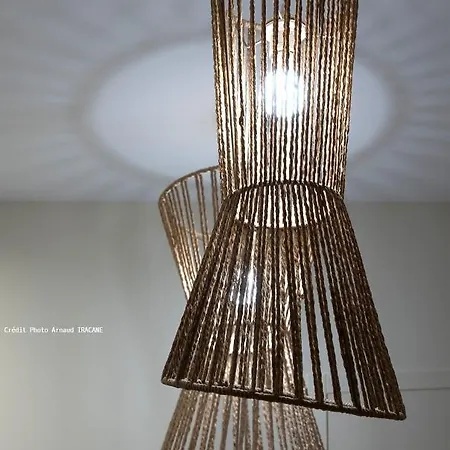 Design Paloma Dark
